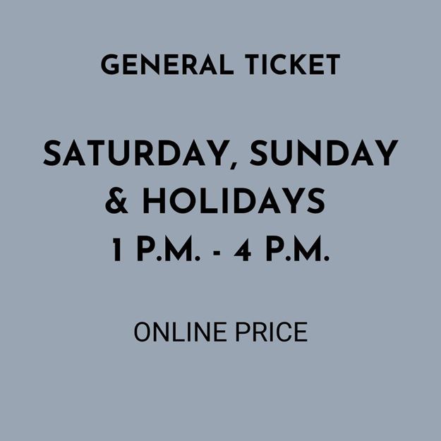 Picture of Saturday/Sunday/Holidays 1 - 4  | General Ticket 2025
