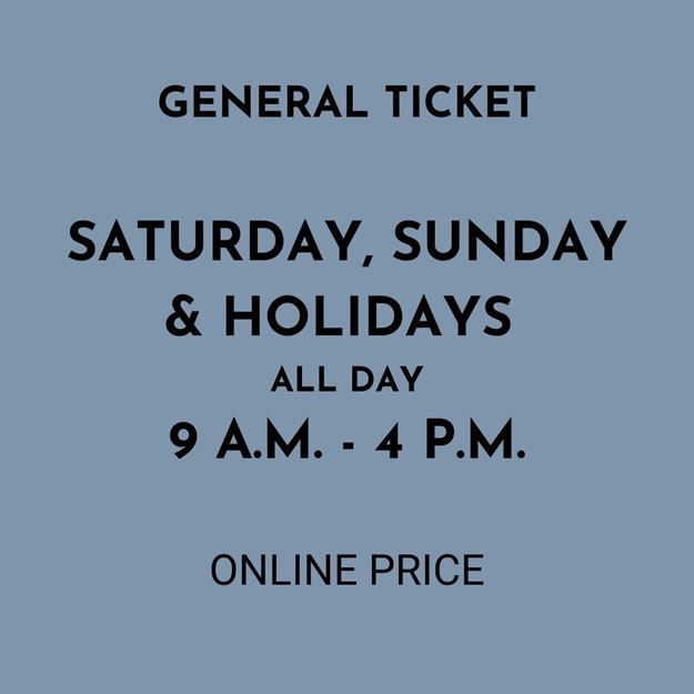 Picture of Saturday/Sunday/Holidays 9 -4 | General Ticket 2025